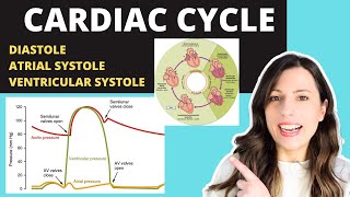 Alevel CARDIAC CYCLE Diastole atrial systole ventricular systoles the pressure volume changes [upl. by Yhtuv]