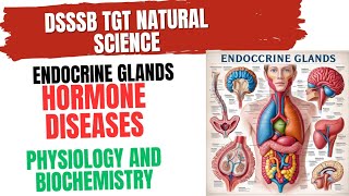 Hormone Diseases Physiology and Biochemistry for DSSSB TGT Natural Science endocrinesystem [upl. by Lek]