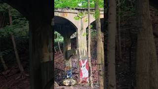 Abandoned Hillandale Bridge Bridge to Nowhere Euclid Ohio [upl. by Ziza886]