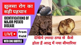 Late Blight Of Potato  Phytophthora Infestans  Aalu Ka Jhulsa Rog Pacheti Jhulsa [upl. by Arakaj]