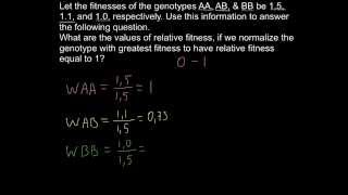 Relative fitness problem and solution [upl. by Awe877]