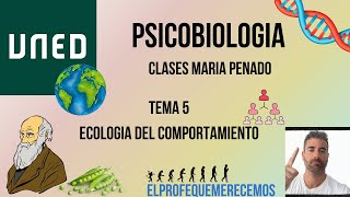 Psicobiologia UNED TEMA 5 Maria Penado [upl. by Nwahsek537]