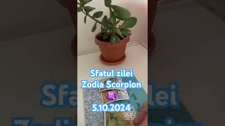 Sfatul zileizodia Scorpion ♏️ tarot zodii cariera horoscop zodie scorpion [upl. by Talbot]