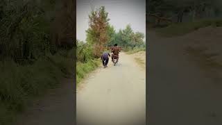 road sy side py ho k chlo funny road comedy [upl. by Yllor270]