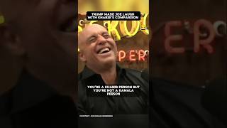 Khabib vs Kamala remark by Trump leaves Joe Rogan in stitches [upl. by Knowle]