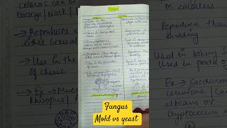 fungus mold vs yeast microbiology mycology handwritten differentiation easy to learn ytshorts [upl. by Viking]