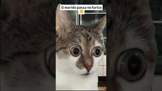 Sabonete no furico vidadecasal maridoemulher memesgatos comedia videosdegatos [upl. by Janyte400]