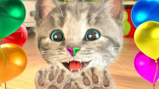 LITTLE KITTEN PRESCHOOL ADVENTURE EDUCATIONAL GAMES  PLAY FUN CUTE KITTEN PET CARE GAMEPLAY [upl. by Enyad]