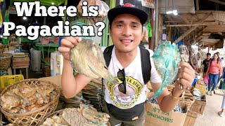 Street of fresh dried fish at Pagadian City Philippines 🇵🇭 [upl. by Nagy]