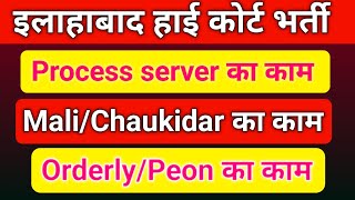 Allahabad High court Bharti process server ka kya kam hota hai  orderly  peon work [upl. by Melas]