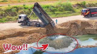 Excellent Skill Dumping Soil Into Deep Water By Dump Trucks And Dozer Komatsu D53d Process [upl. by Marlen971]