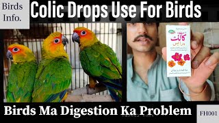 Birds Ma Digestion Ka ProblemUse Colic Drops For BirdsFeed ka hazam na hona FH001  Birds Info [upl. by Lisa]