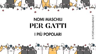 Nomi per gatti maschi  I più usati [upl. by Dunc]