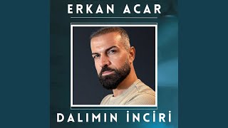 Dalımın İnciri [upl. by Navy]