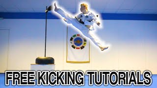 Taekwondo Kicking Tutorials Promo Ginger Ninja Trickster  How to Videos [upl. by Trudi181]