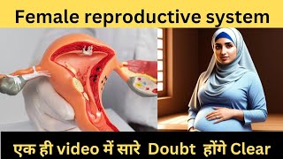 Female Reproductive System in Hindi  Uterus  Ovary Fallopian Tube  Vagina  Hymen Labia Majora [upl. by Mutz12]