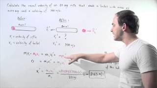 Conservation of Linear Momentum Example [upl. by Rexferd]