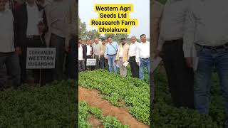 Research Farm shorts agriculture farming [upl. by Odella]