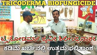 How to use tricoderma  bio fungicide  seed treatment with tricoderma  ಟ್ರೈಕೊಡರ್ಮಾ ಶಿಲೀಂದ್ರನಾಶಕ [upl. by Derzon]