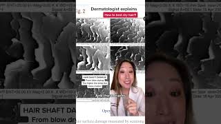 what’s the best way to dry hair  air dry vs blowdry derm looks at the science dermbypark [upl. by Hendel]