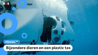 Miljonair maakt duik naar diepste punt in de oceaan [upl. by Lleznov]