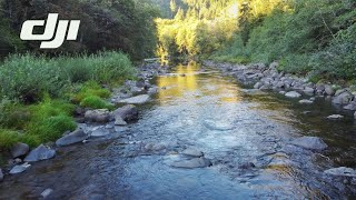 Calawah River  Forks WA  DJI Mavic Mini 4K [upl. by Yrram]