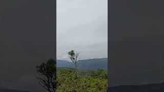 YERCAUD HILLS VIEW nature hills trending [upl. by Elidad685]