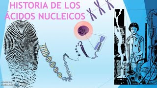 HISTORIA DE LOS ÁCIDOS NUCLEICOS [upl. by Namaan864]