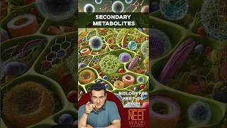 Secondary METABOLITES Functions  Biomolecules  class 11 Biology neet biology science ncert [upl. by Marieann414]