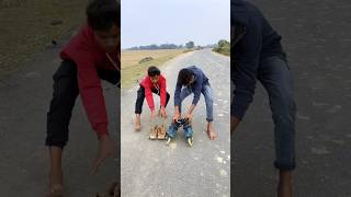 Try to one wheel stunts😲😭short video freestyle skatingskating reaction skatesyt shorts [upl. by Drofhsa]