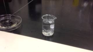 Water Miscibility Test and Solidification  Part 1 [upl. by Anirav474]