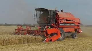 Mähdrescher DeutzFahr M1322 Weizenernte bei Meldorf [upl. by Adao]