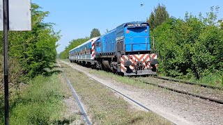 Tren Lobero EMD GT22 A919 Llegando a Cañuelas [upl. by Bouton624]