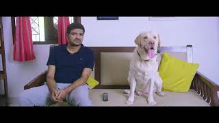 Naai Sekar official Movie Trailer  Vadivelu  Santhanam [upl. by Inah334]