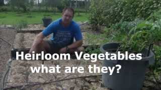 Heirloom Vegetables what are they [upl. by Ferdinanda712]