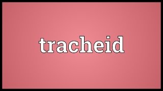 Tracheid Meaning [upl. by Yssor]