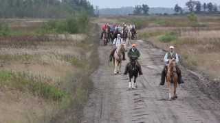 POINTING DOG FIELD TRIALS  PART I CHAMPIONSHIP [upl. by Cullie]