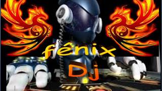 FANDANGO OTAVALO MIX FÉNIX DJ [upl. by Oicnerual888]