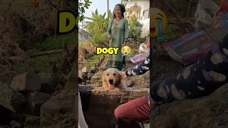 Cute Adventure 🥺 Dogvlog shorts vlog vlogger [upl. by Alyosha639]