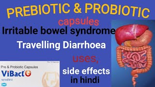 Prebiotic and Probiotic Capsule। Vibact Capsule।आंतों को कमजोर होने से बचाएगा [upl. by Lawley]