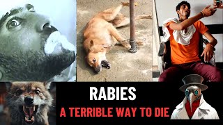 Rabies A Terrible Way To Die [upl. by Xella654]