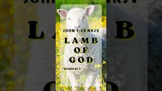 The Lamb of God  John‬ ‭1‬‭29‬ ‭NKJV‬‬ 🔇 [upl. by Dougal]