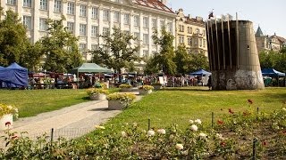 Full HD Besuch Beim Jirak Bauernmarkt In Prag Farmářské tržiště Jiřák Deutsches Video [upl. by Yoko15]