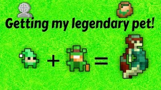 ROTMG Getting my legendary pet [upl. by Beaufort396]