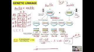 Genetics Unit Gene Linkage Recombination Frequency and Application of Chi Square test [upl. by Mansfield907]