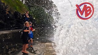 Cool Coastal Walk  Takapuna to Milford Auckland NZ [upl. by Nyletac]