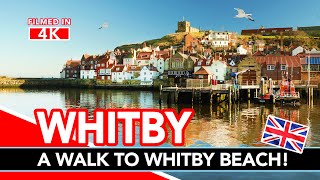 WHITBY  A walk through Whitby UK in winter [upl. by Emelita853]