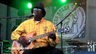 LITTLE JOE AYERS Blues Rules 2015 [upl. by Andrus]