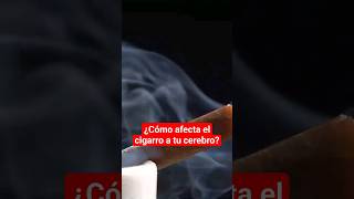 ¿Cómo afecta el cigarro a tu cerebro [upl. by Adin109]