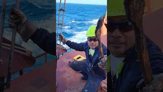 Ship maintenance job 😱 support merchantnavy ship automobile construction vlog viralvideo [upl. by Cecelia39]